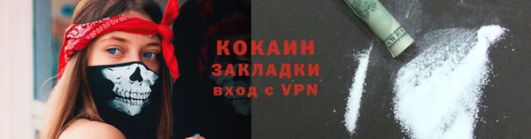 ГАЛЛЮЦИНОГЕННЫЕ ГРИБЫ Аркадак