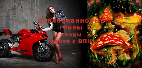 ГАЛЛЮЦИНОГЕННЫЕ ГРИБЫ Аркадак