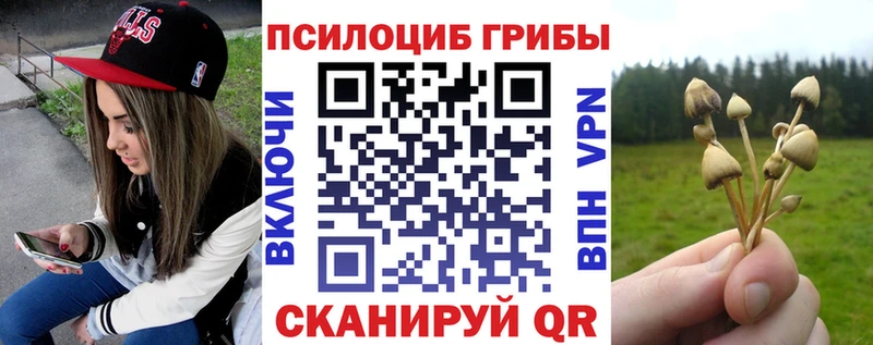 продажа наркотиков  Нефтекумск  Галлюциногенные грибы Psilocybe 