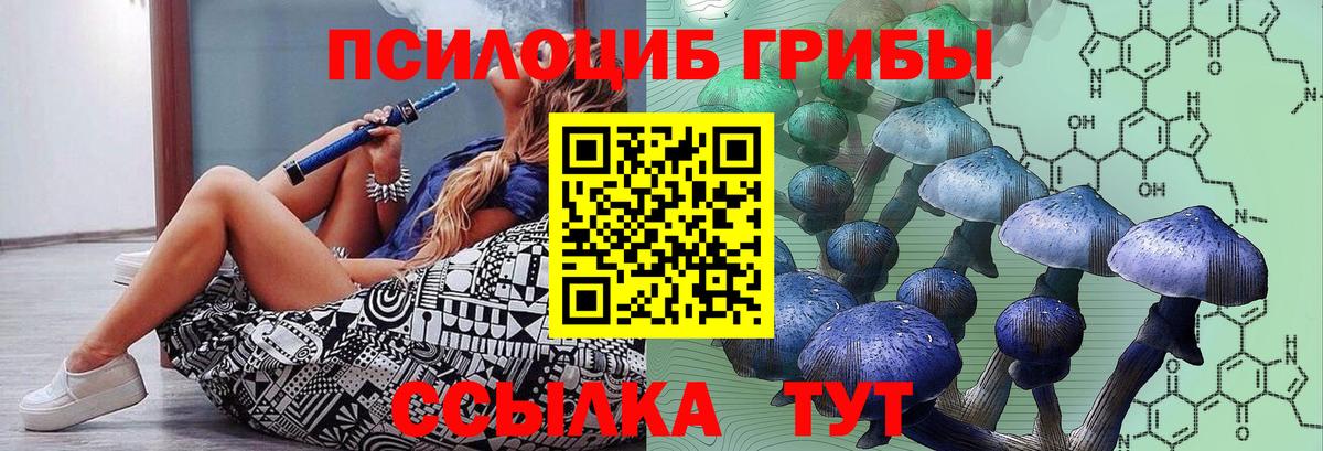 Нефтекумск  Галлюциногенные грибы MAGIC MUSHROOMS  Вход с VPN  Галлюциногенные грибы Psilocybe 