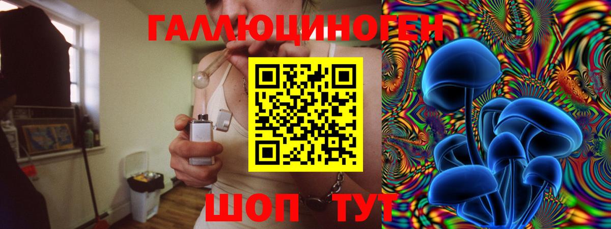 Галлюциногенные грибы Cubensis Нефтекумск